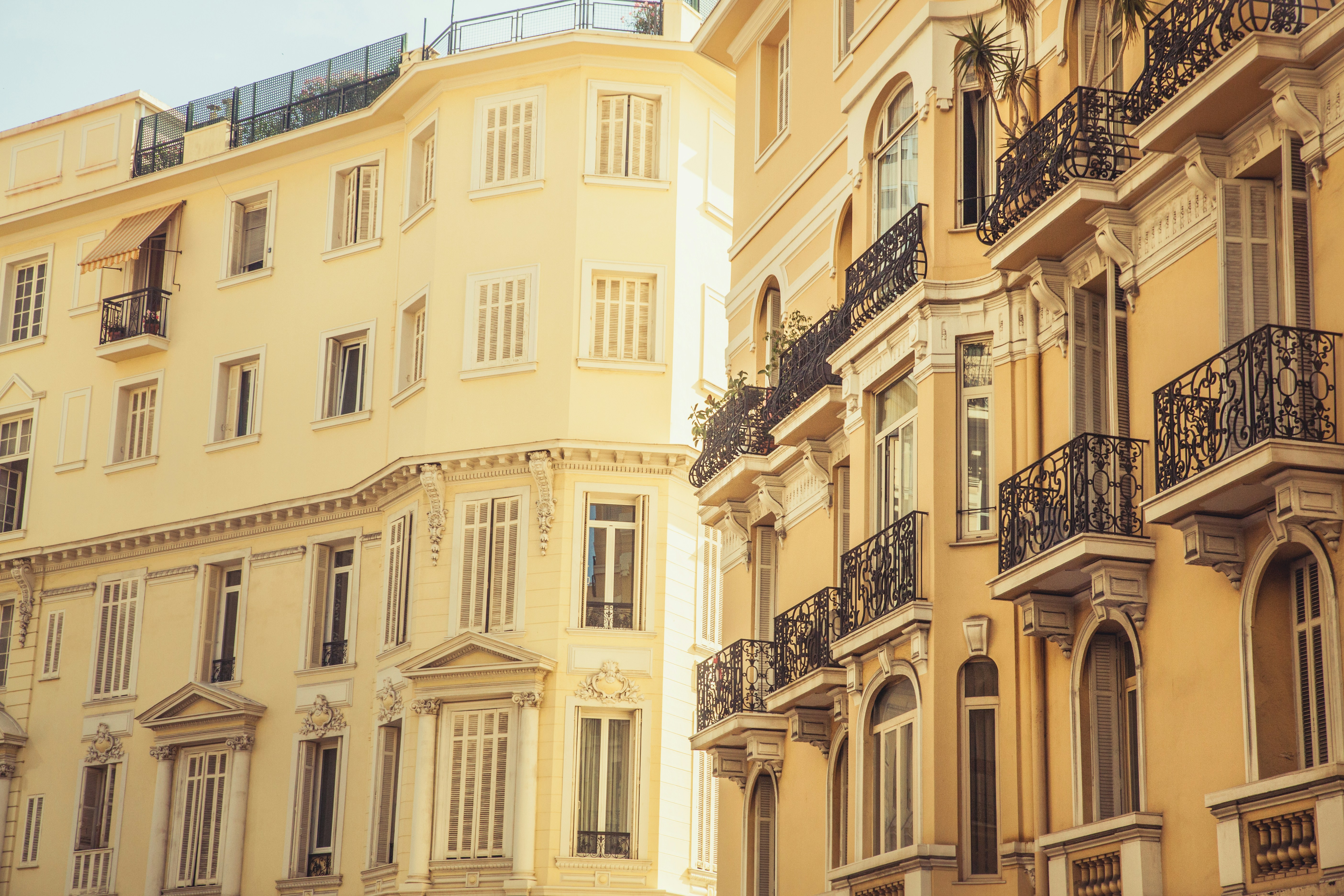 Free Unsplash photo from Nanda Green