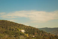 A serene residential plot surrounded by greenery in Neemrana, perfect for building a dream home.