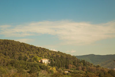 Front view of the weekend house surrounded by lush greenery under a clear blue sky.