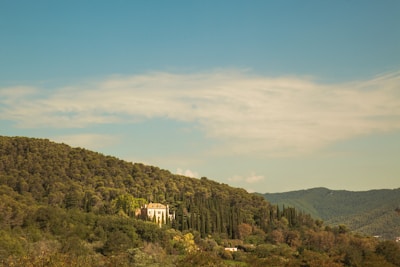 High-quality photo of a beautiful residential property surrounded by greenery under a clear sky.