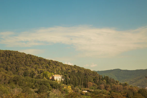 A serene view of a DTCP approved plot with lush greenery under a clear blue sky in Madurai.