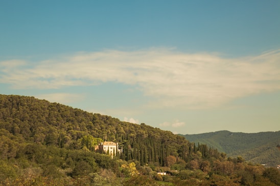 A serene landscape depicting a timeless family estate surrounded by nature.