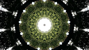 Elegant cosmic planetary alignment graphic representing vedic jyotish principles with deep forest green background