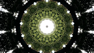 Elegant cosmic planetary alignment graphic representing vedic jyotish principles with deep forest green background