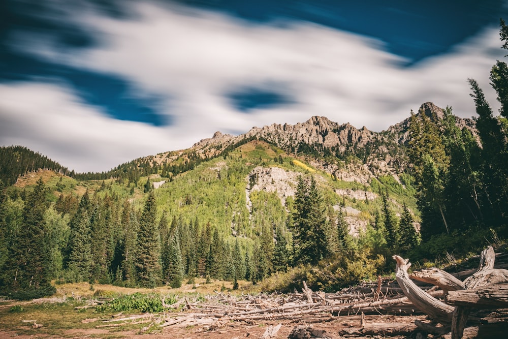 fotografia di paesaggio della montagna verde sotto il cielo sereno