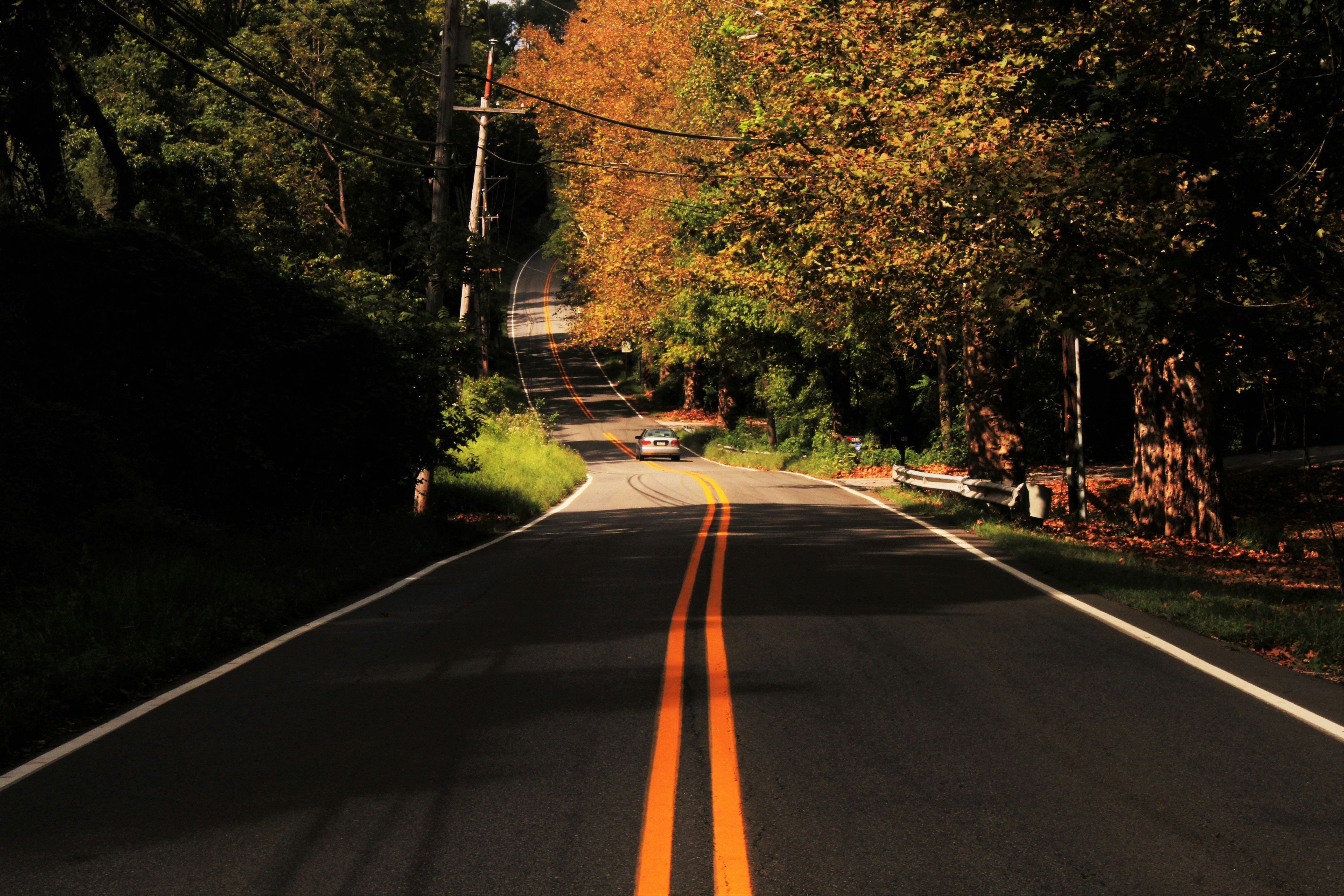 Free Unsplash photo from Michael Liszkiewicz