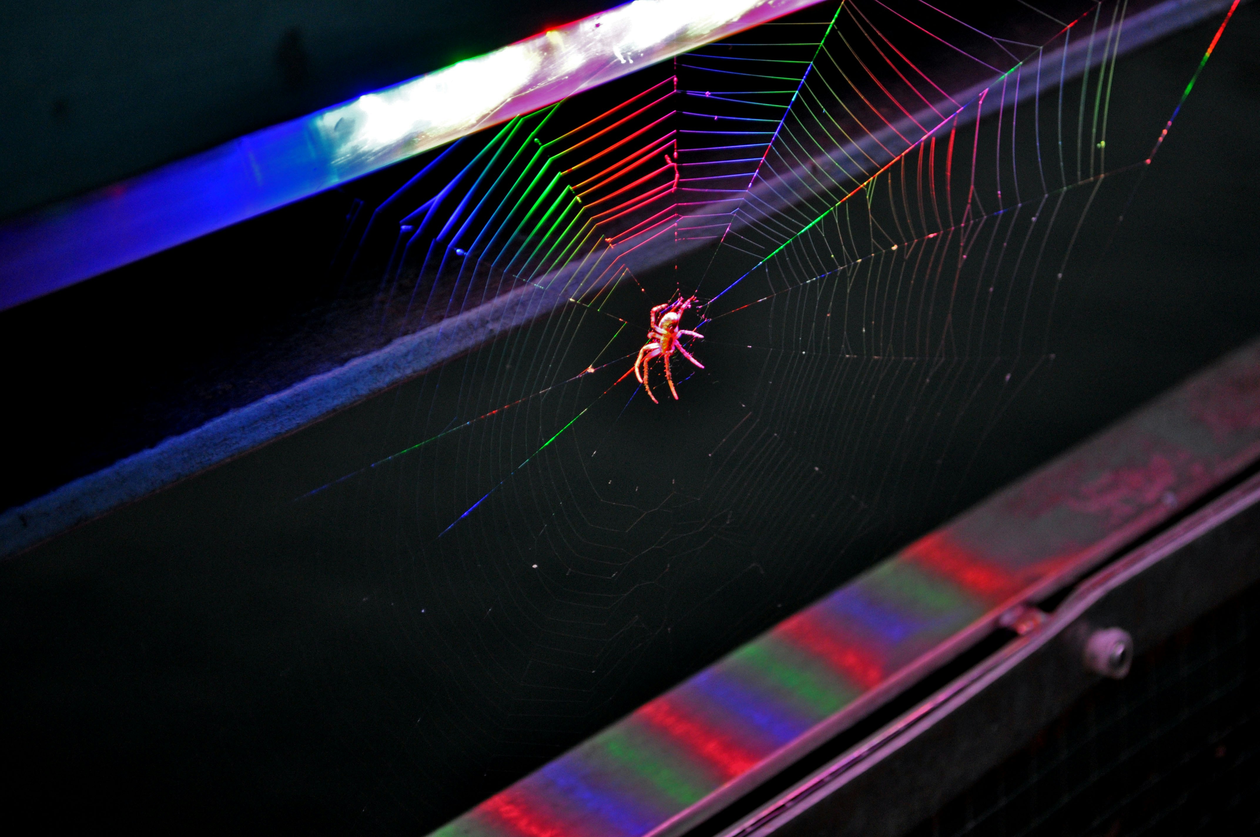 Free Unsplash photo from Monika Izdebska