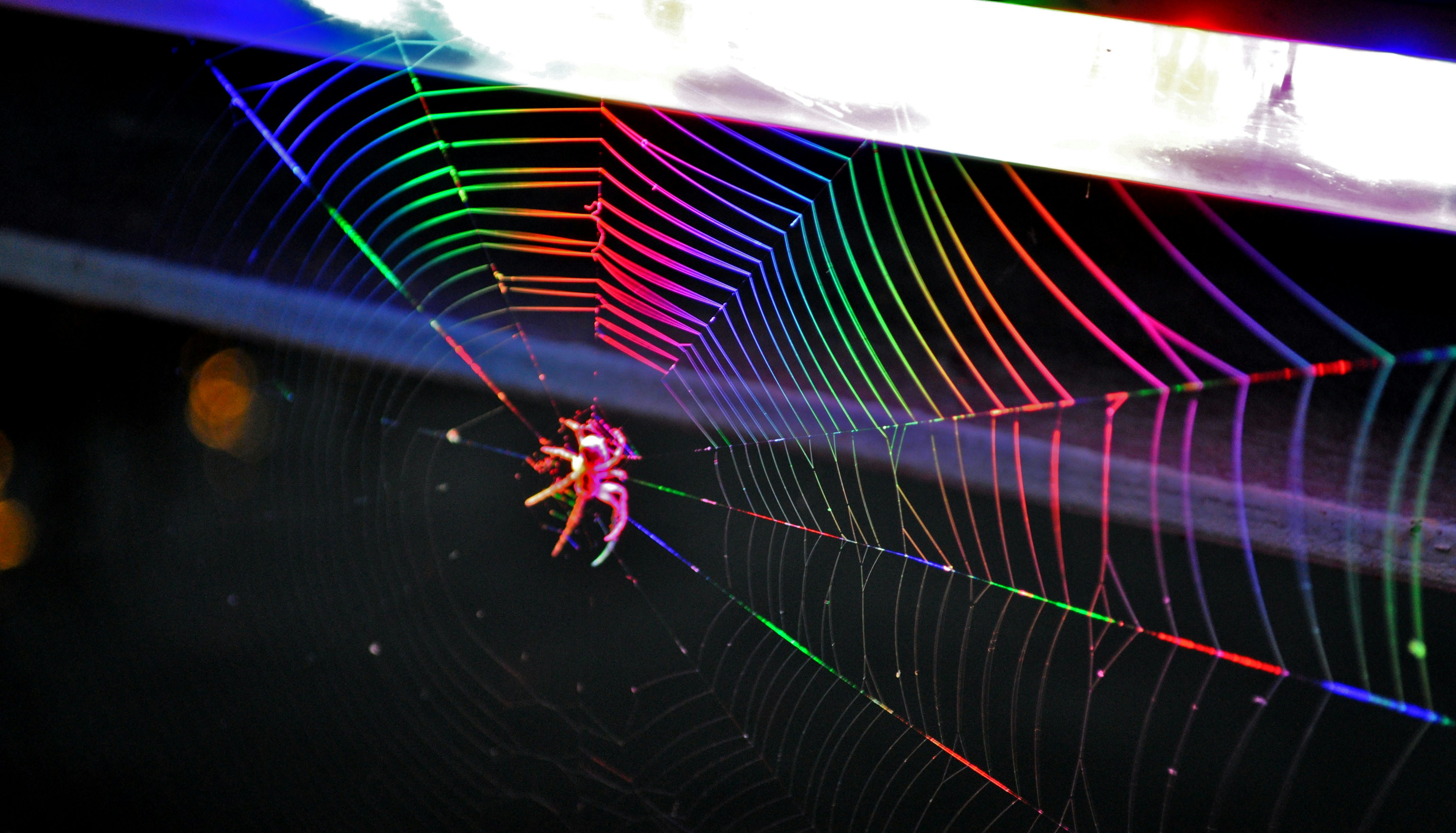 Free Unsplash photo from Monika Izdebska