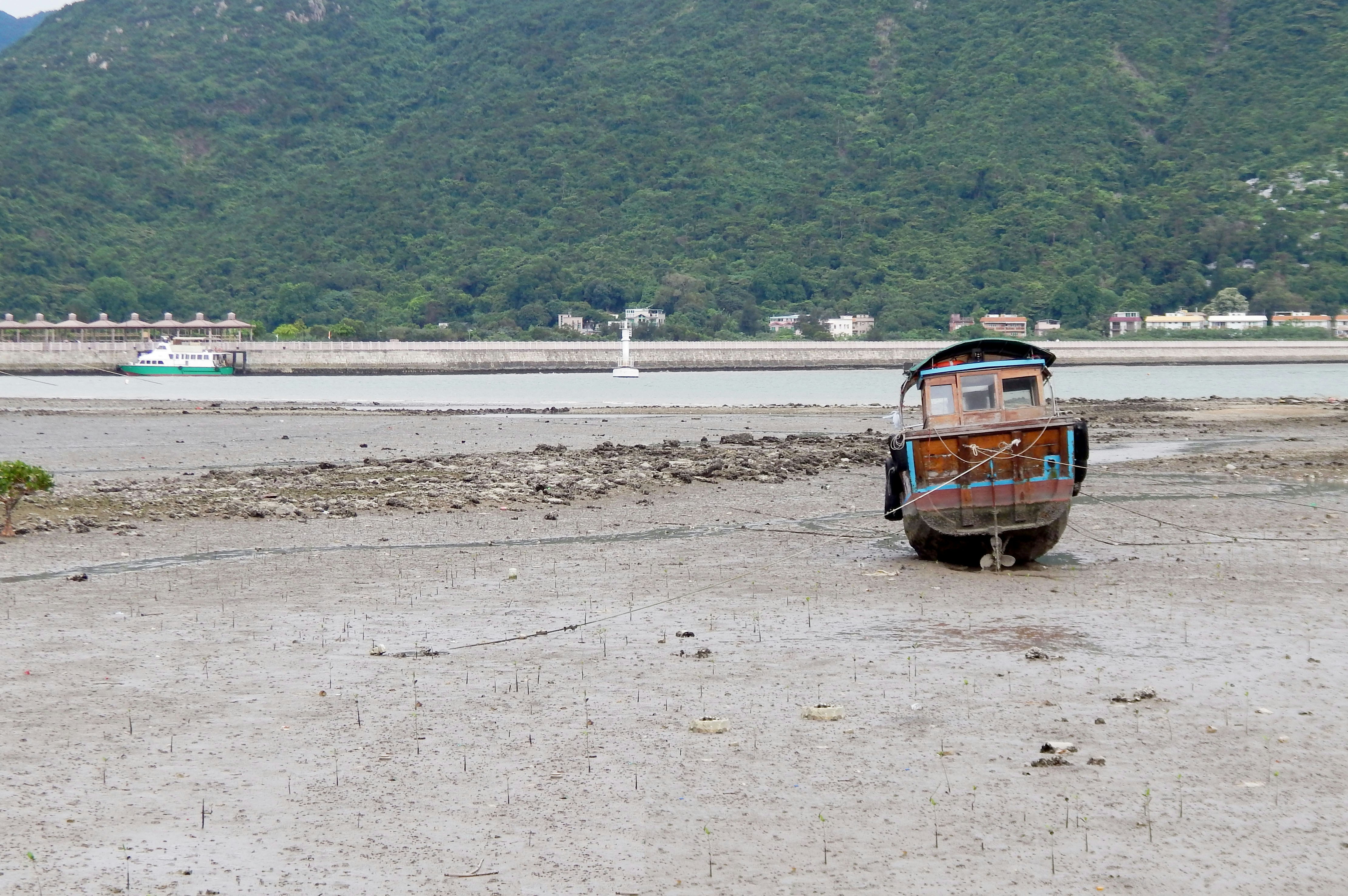 Free Unsplash photo from Mara Elder