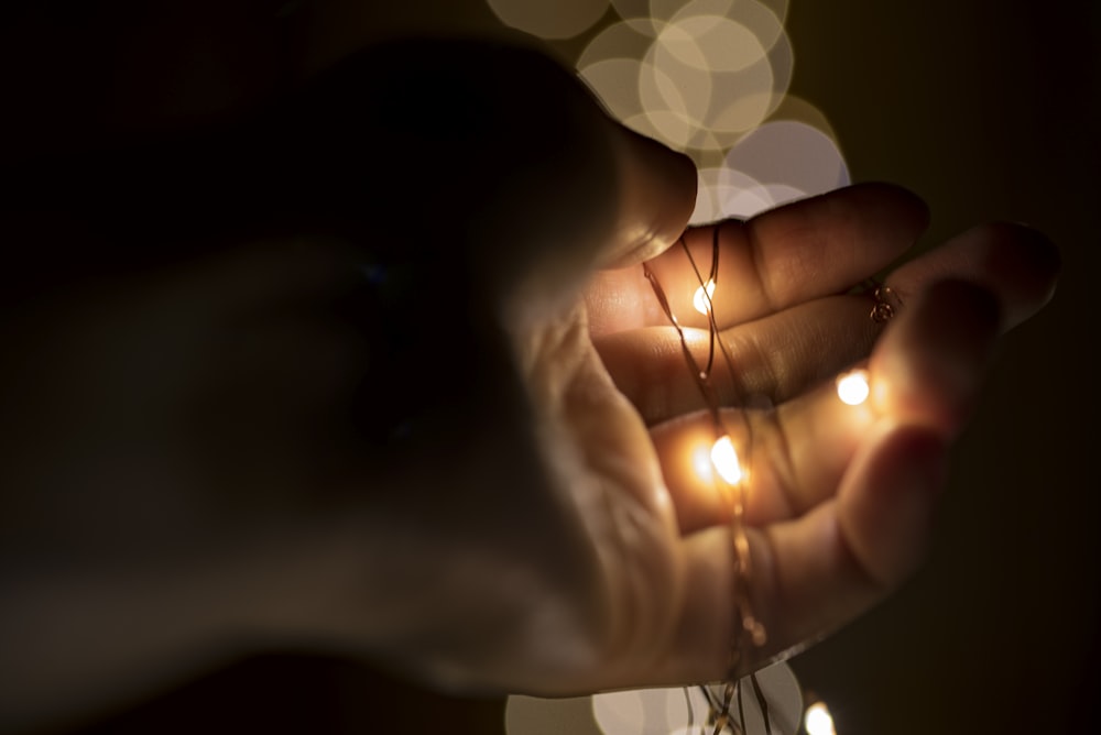 person holding lace with yellow lights