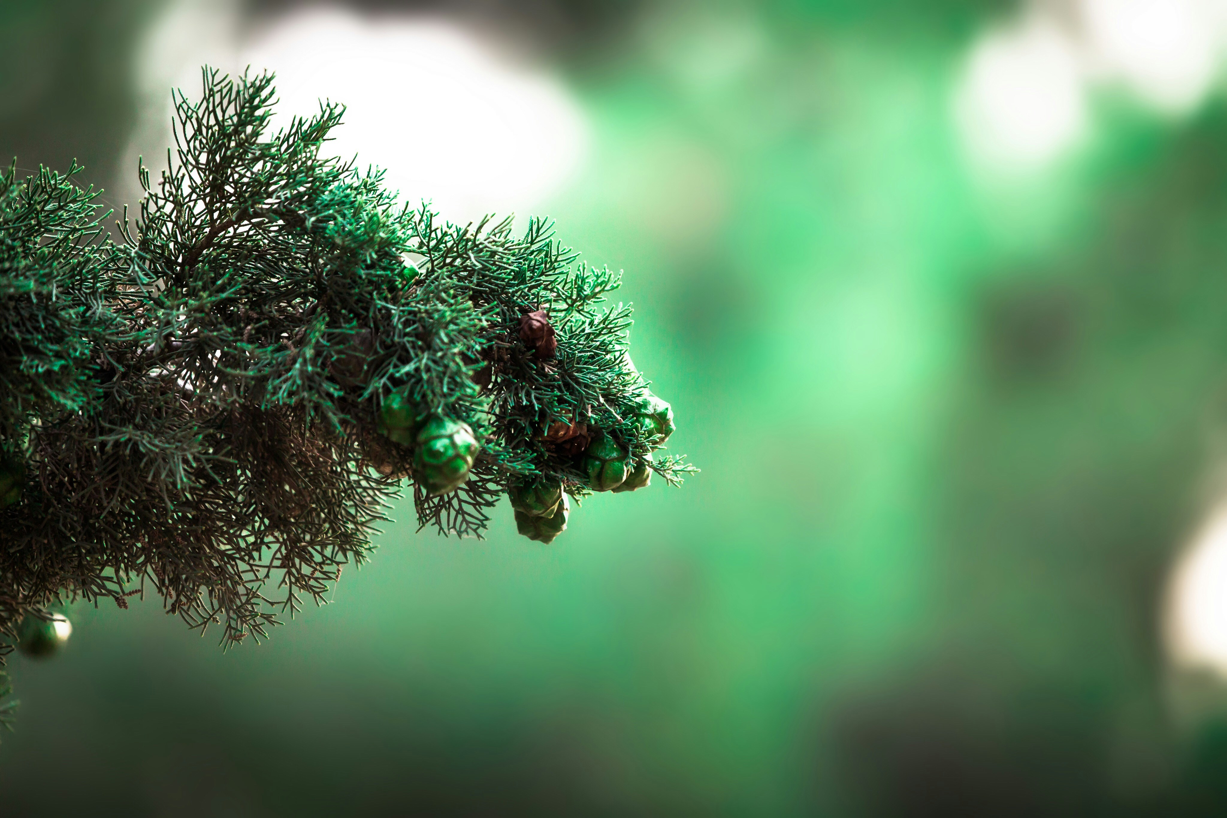 Free Unsplash photo from Tawfiq Charaf