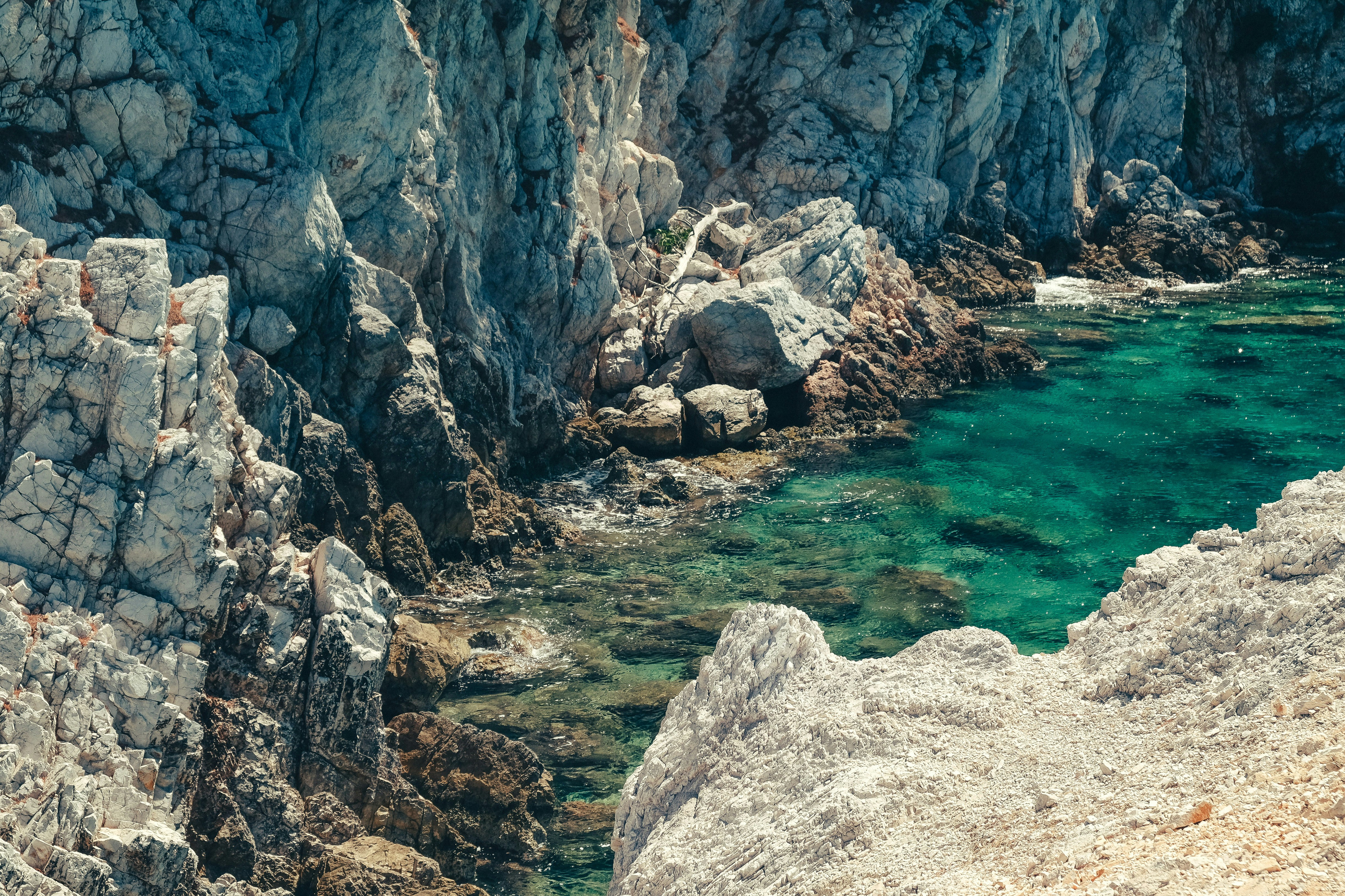 Free Unsplash photo from Nikola Radojcic