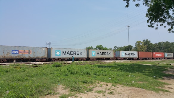 A long freight train is visible with multiple cargo containers labeled with different company logos such as Maersk and Hyundai. The train is positioned on a railway track, surrounded by greenery and open space. Nearby, a person in a blue outfit is walking along the railway path. The sky is clear, and a few trees are visible in the background.