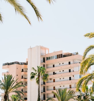 white concrete building beside green palm tree under white sky during daytime