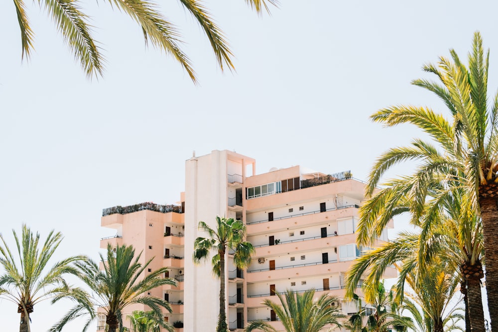 white concrete building beside green palm tree under white sky during daytime