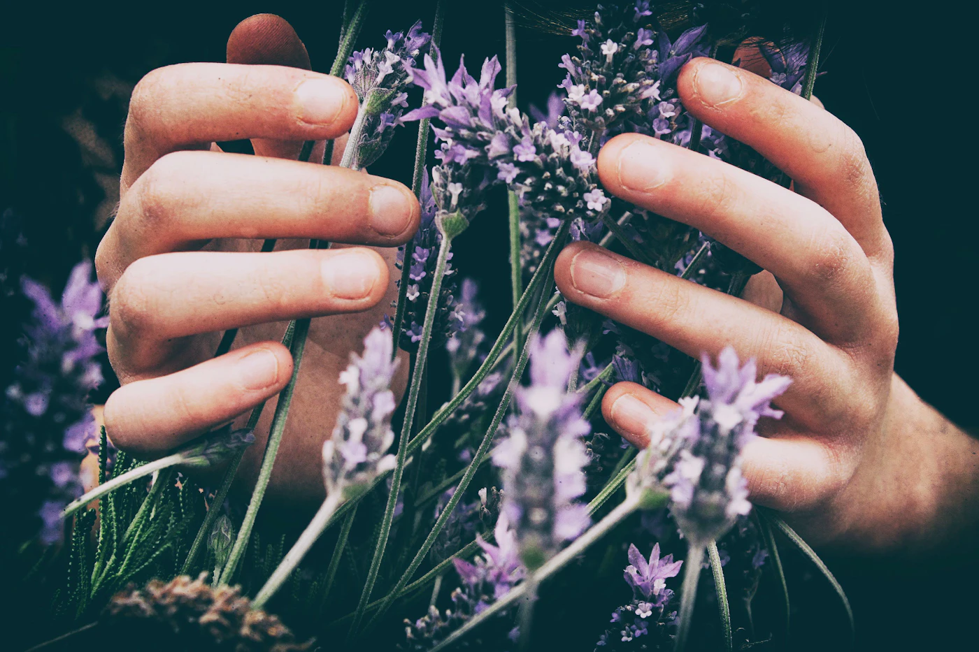 Country Life compra a Aura Cacia e aposta na aromaterapia como a próxima fronteira do bem-estar natural