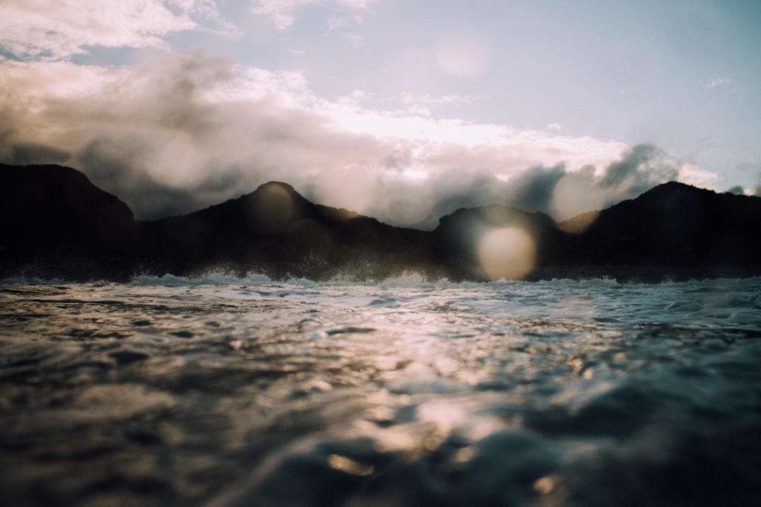 Shore photo spot Piha Beach Muriwai Beach