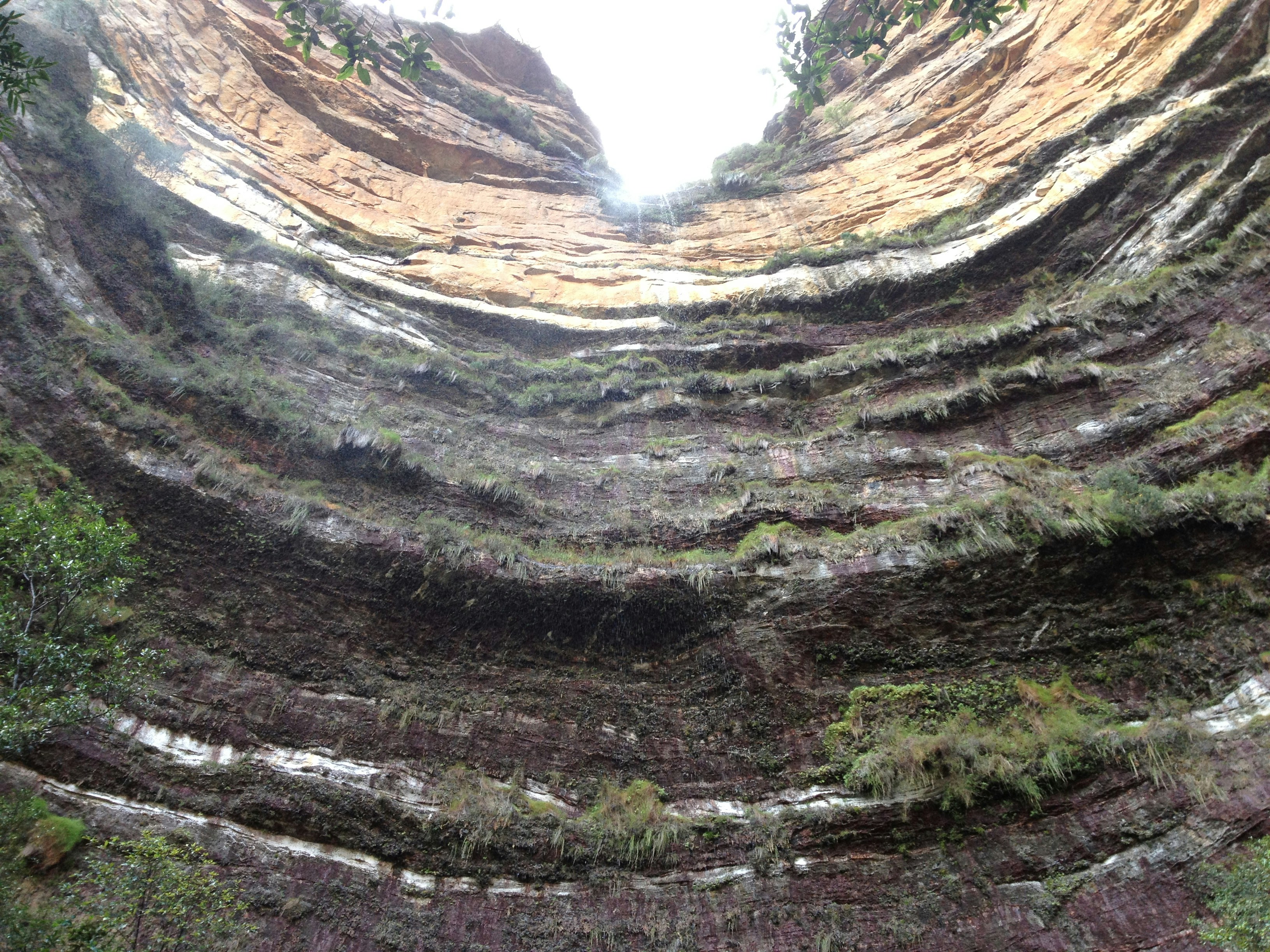 Free Unsplash photo from Laura Fisher-Mitchell