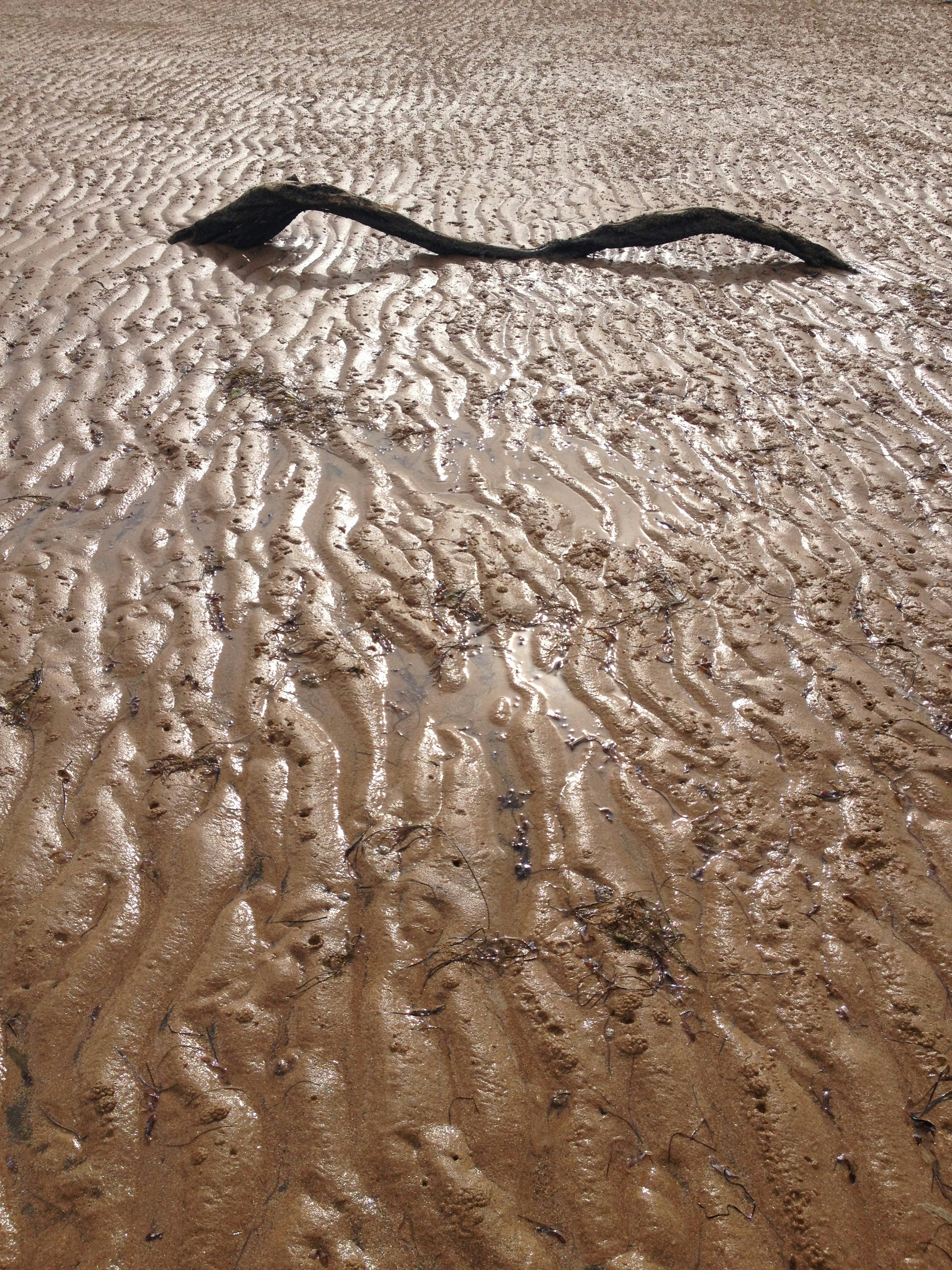 Free Unsplash photo from Laura Fisher-Mitchell