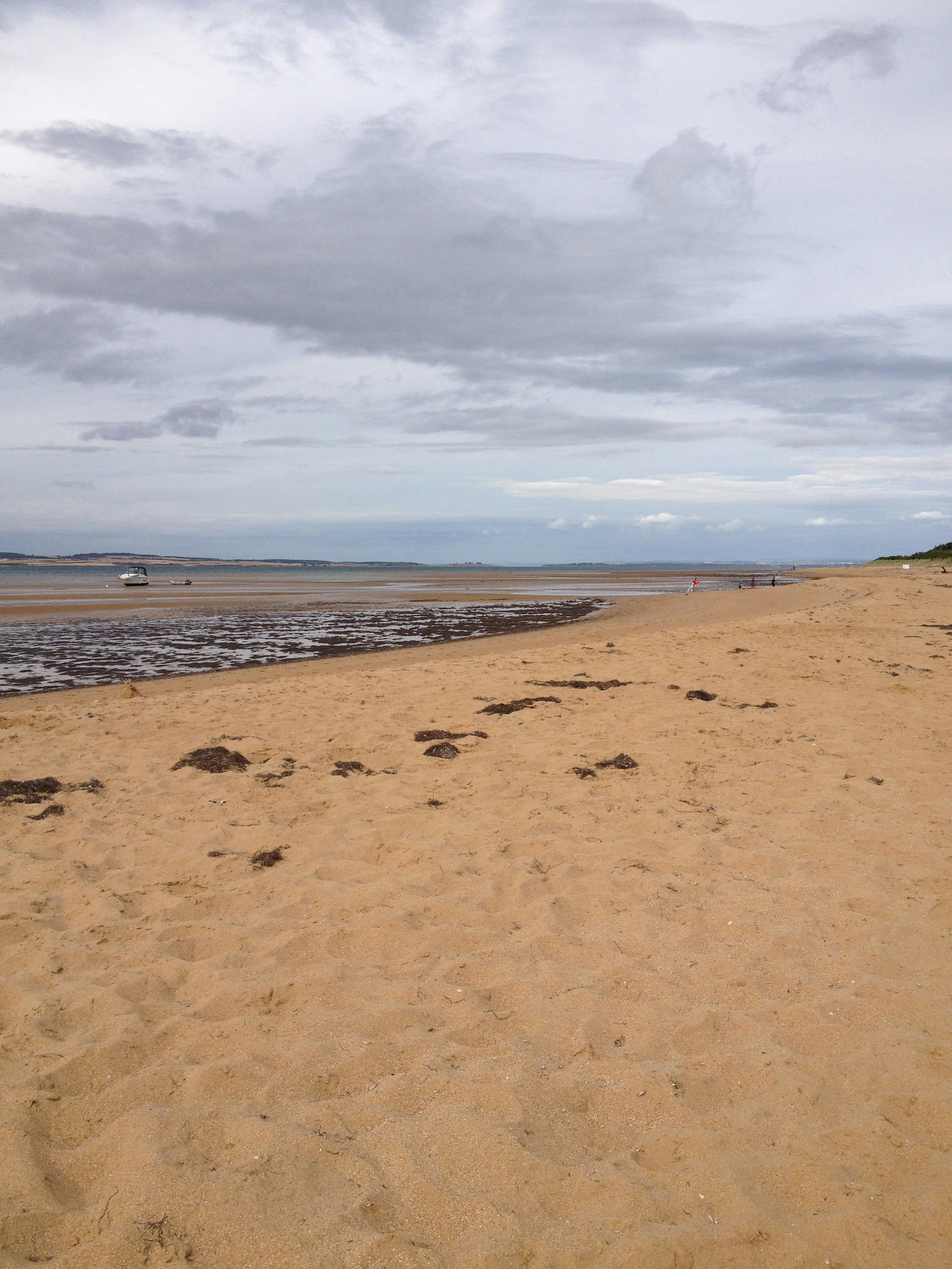 Free Unsplash photo from Laura Fisher-Mitchell