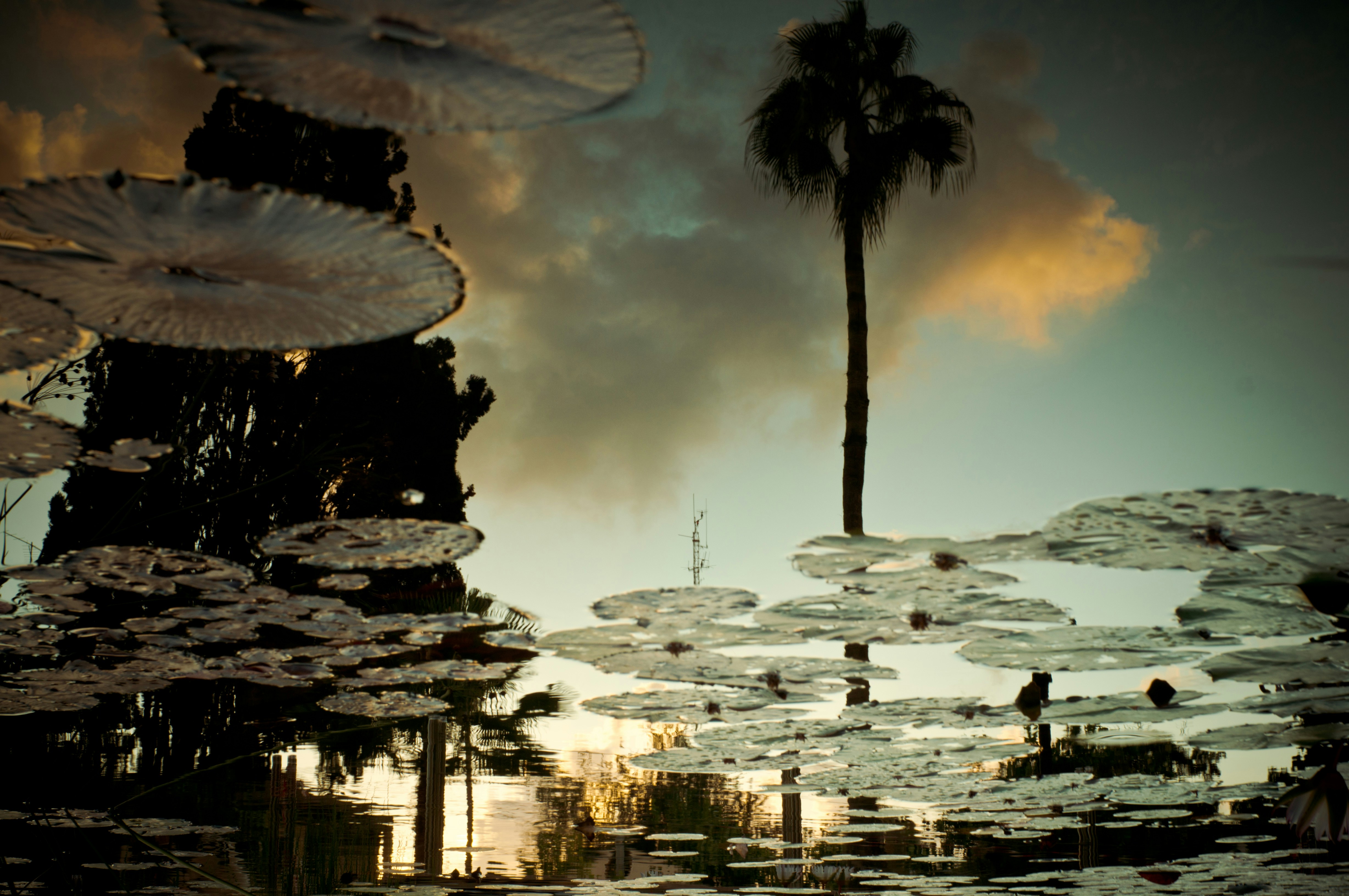 Free Unsplash photo from Dmitry Dreyer