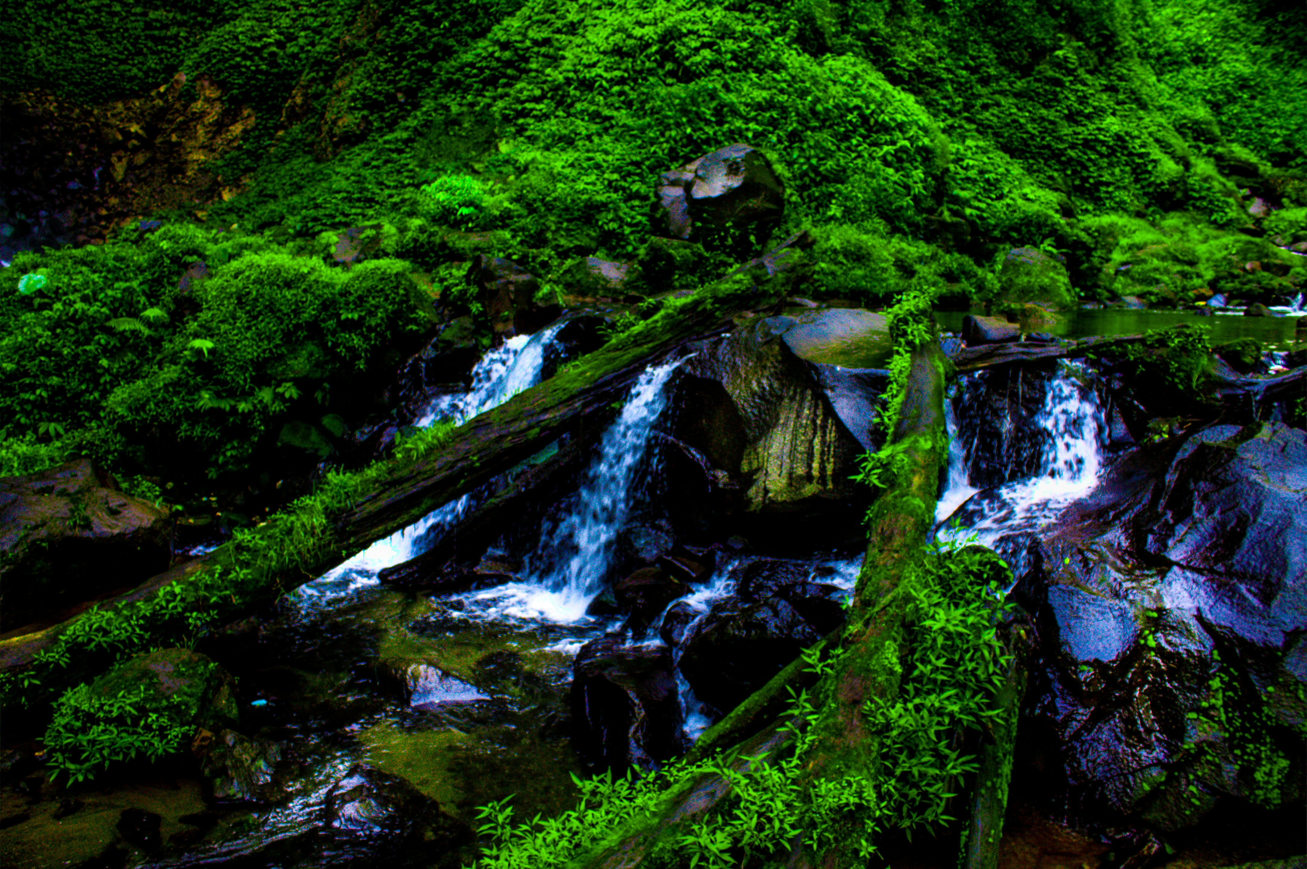 Free Unsplash photo from Hargo Wicaksono