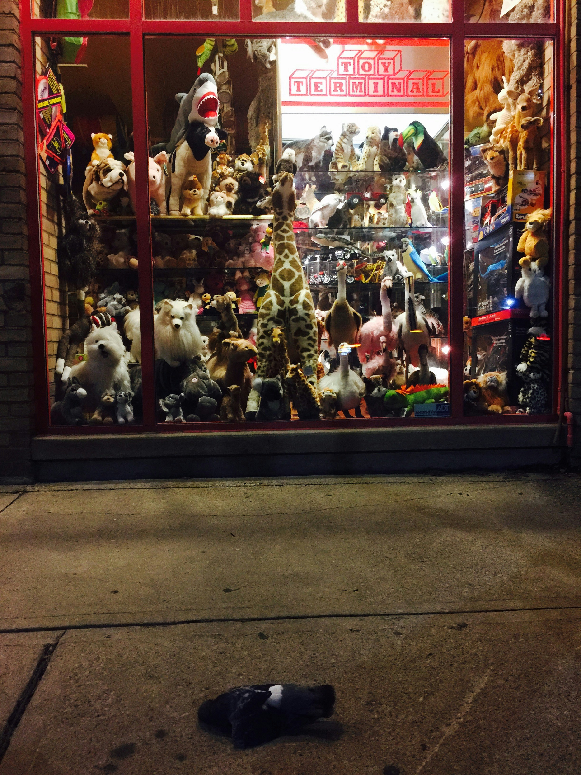 Free Unsplash photo from diogo beltran