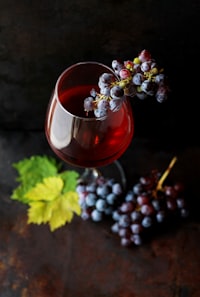 Bor,szőlő, borászatok