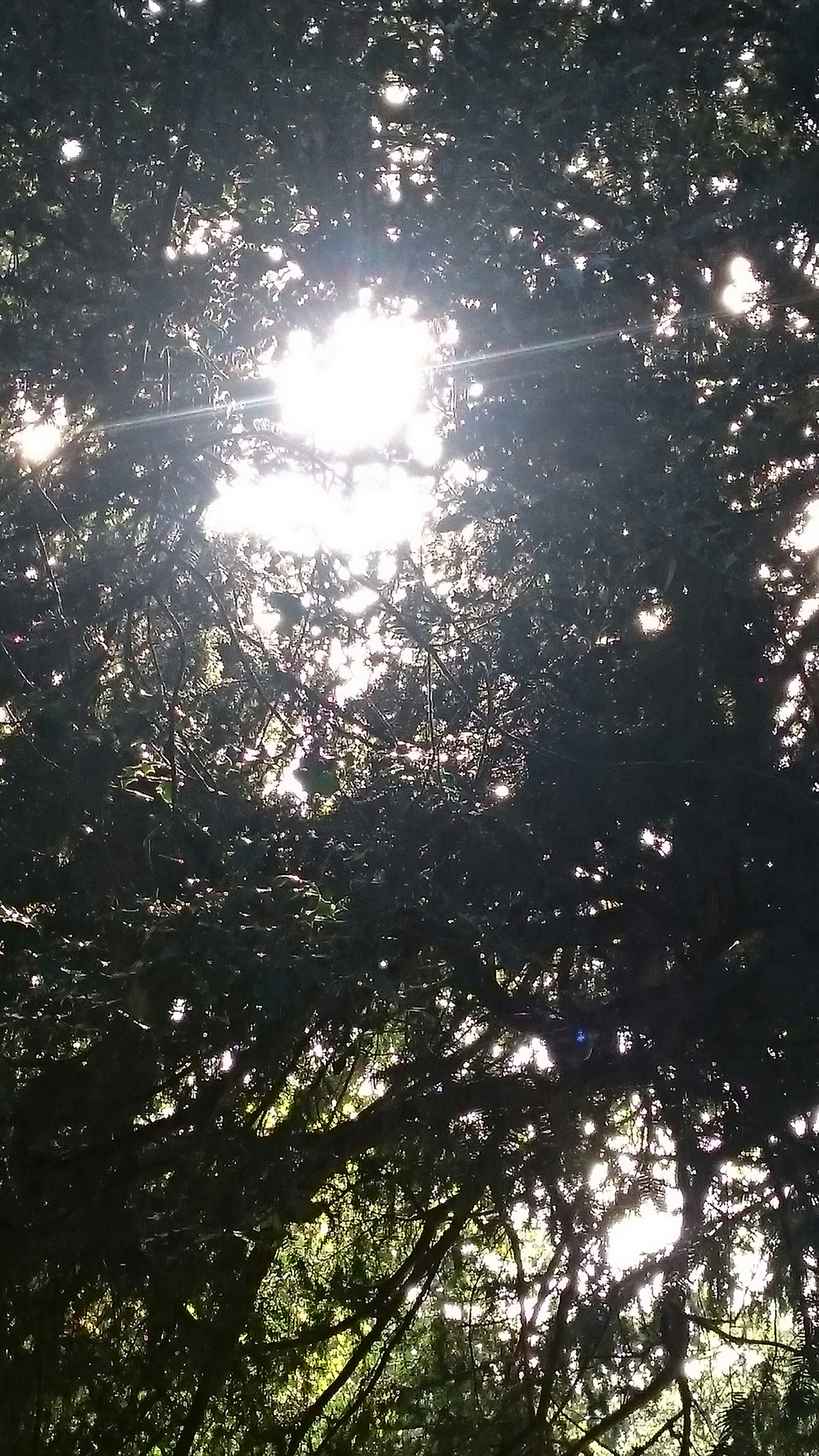 Free Unsplash photo from Nataliya Klymko