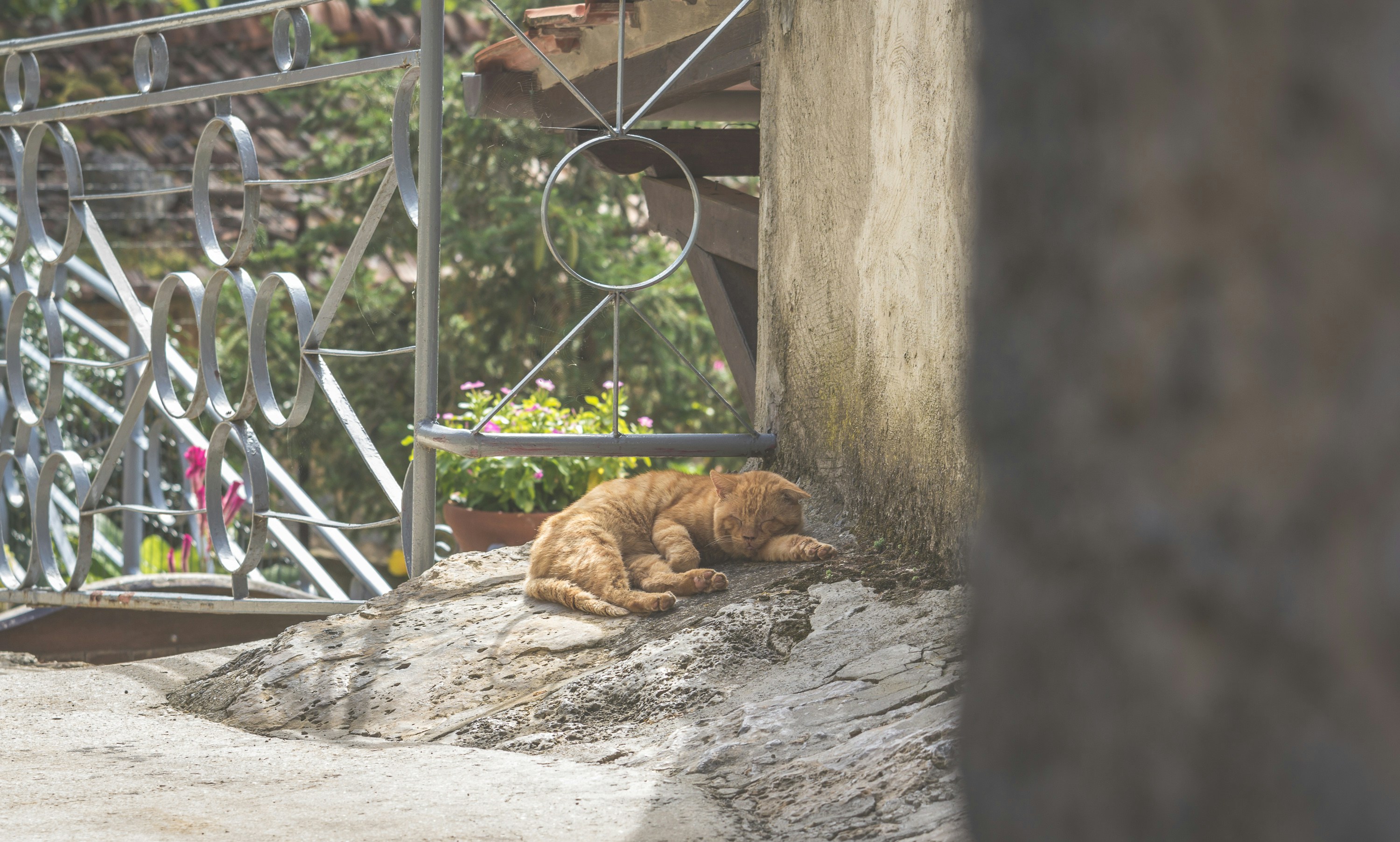 Free Unsplash photo from Jörg Angeli