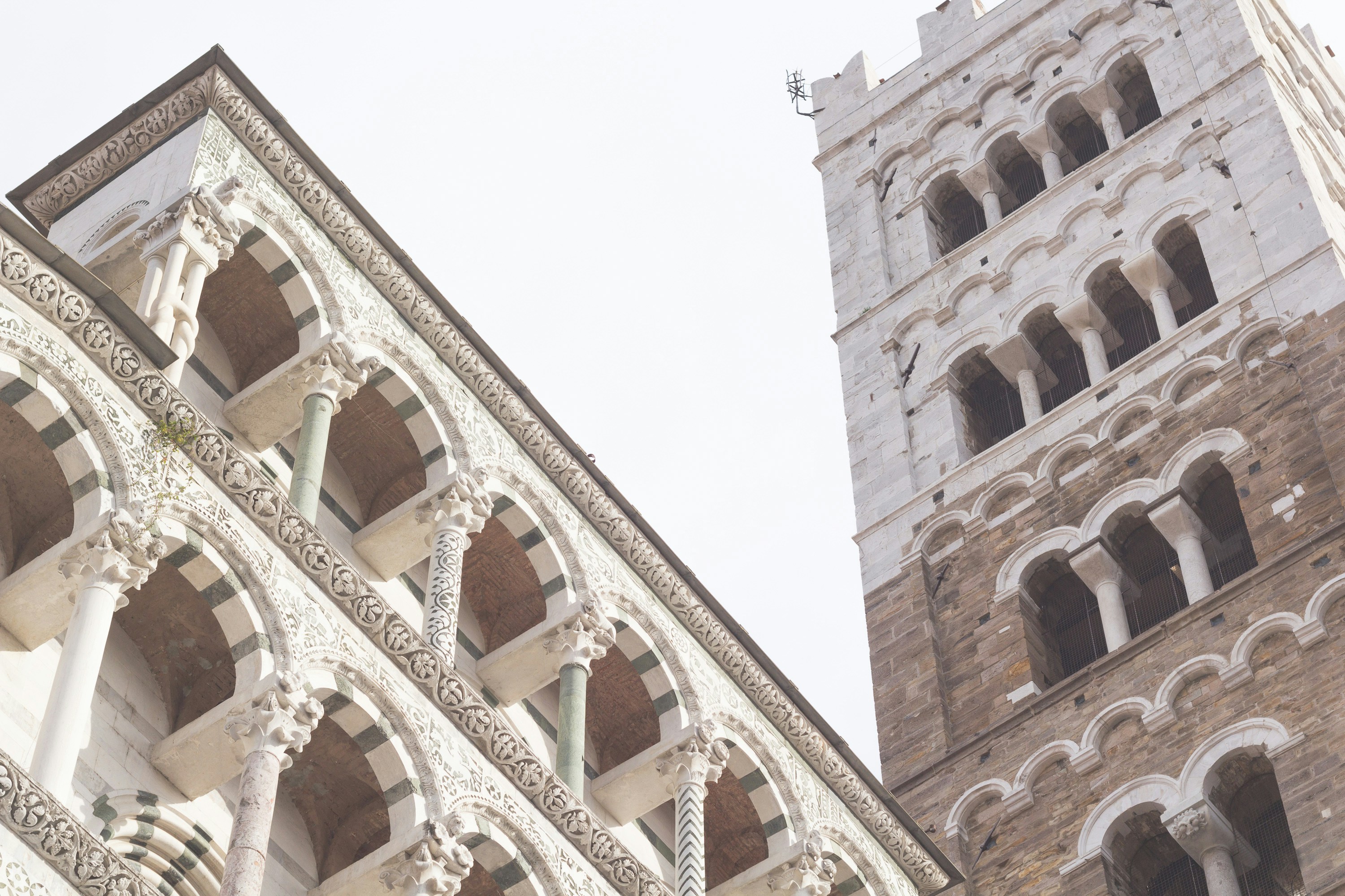 Free Unsplash photo from Jörg Angeli