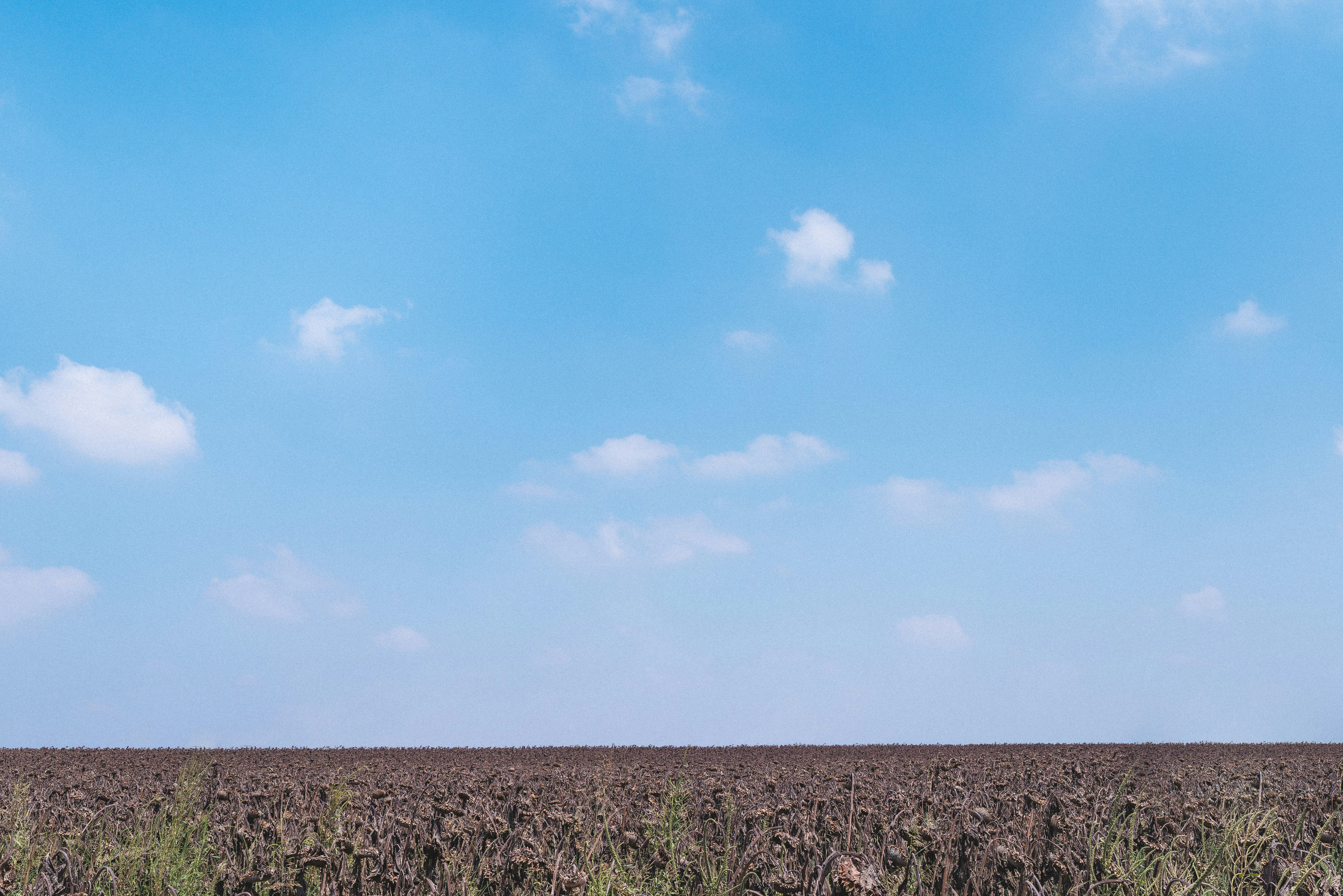 Free Unsplash photo from Amos Bar-Zeev