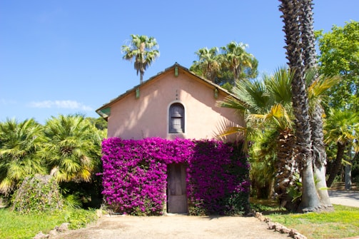 Wide shot of a home with fresh stucco and landscaping.