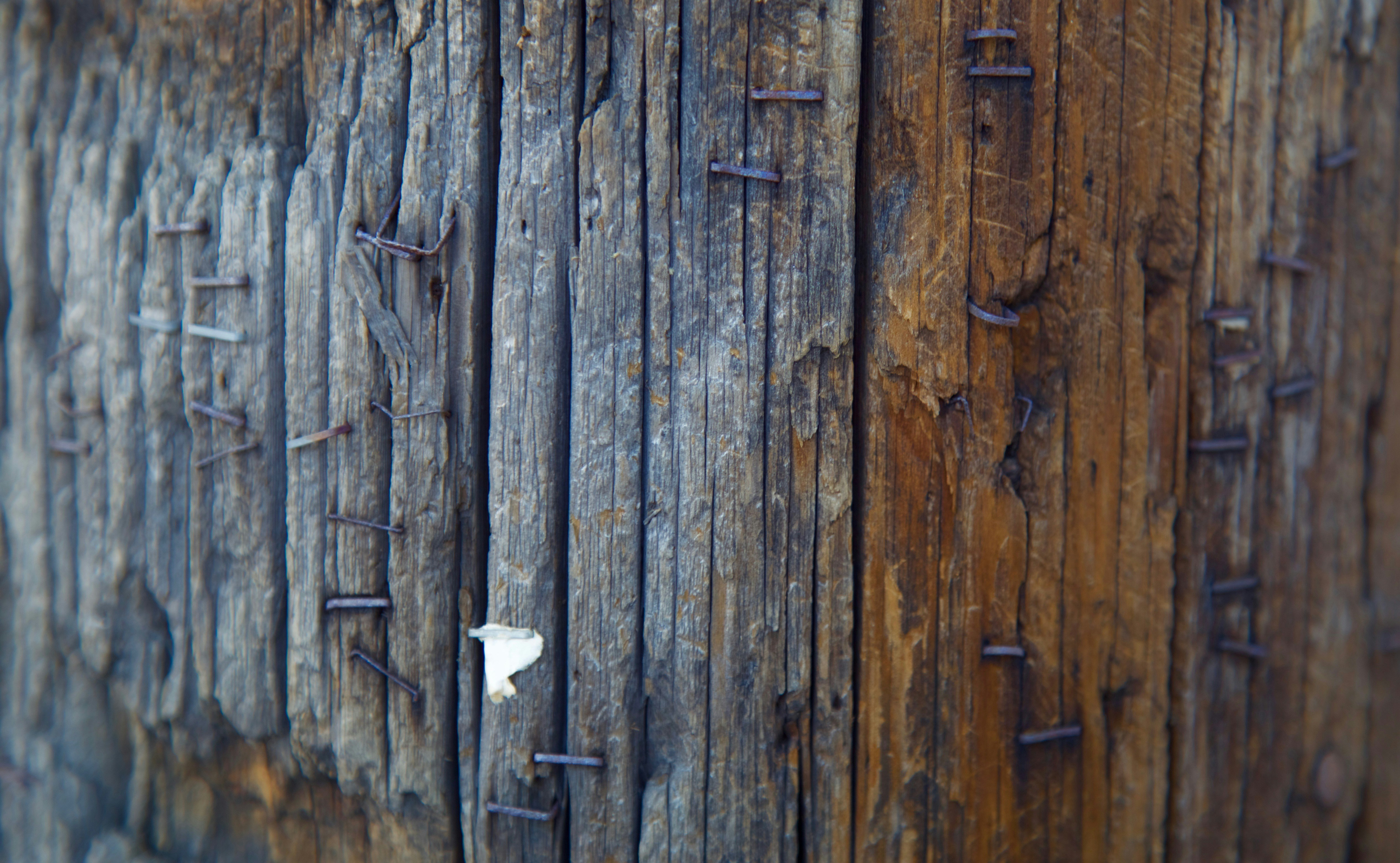 Free Unsplash photo from Daniel Peragine