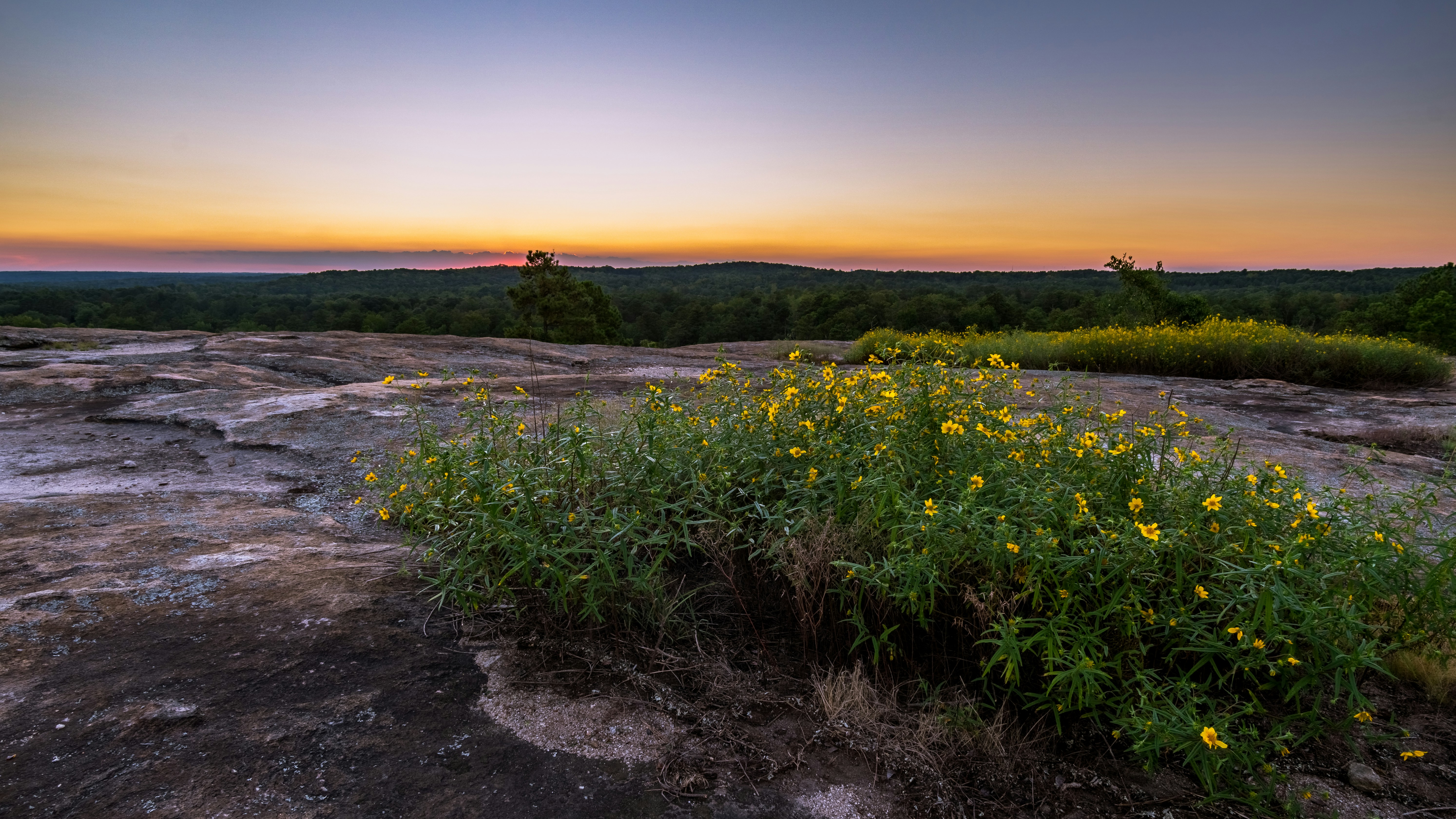 Free Unsplash photo from Joey Kyber
