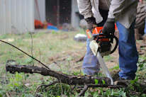 Close-up of hands expertly handling professional tree-cutting equipment.
