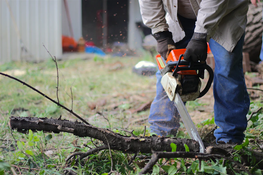 Professional arborist performing standard directional tree felling