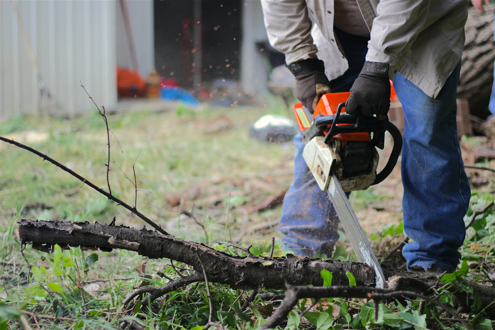 Tree removal Colorado Springs