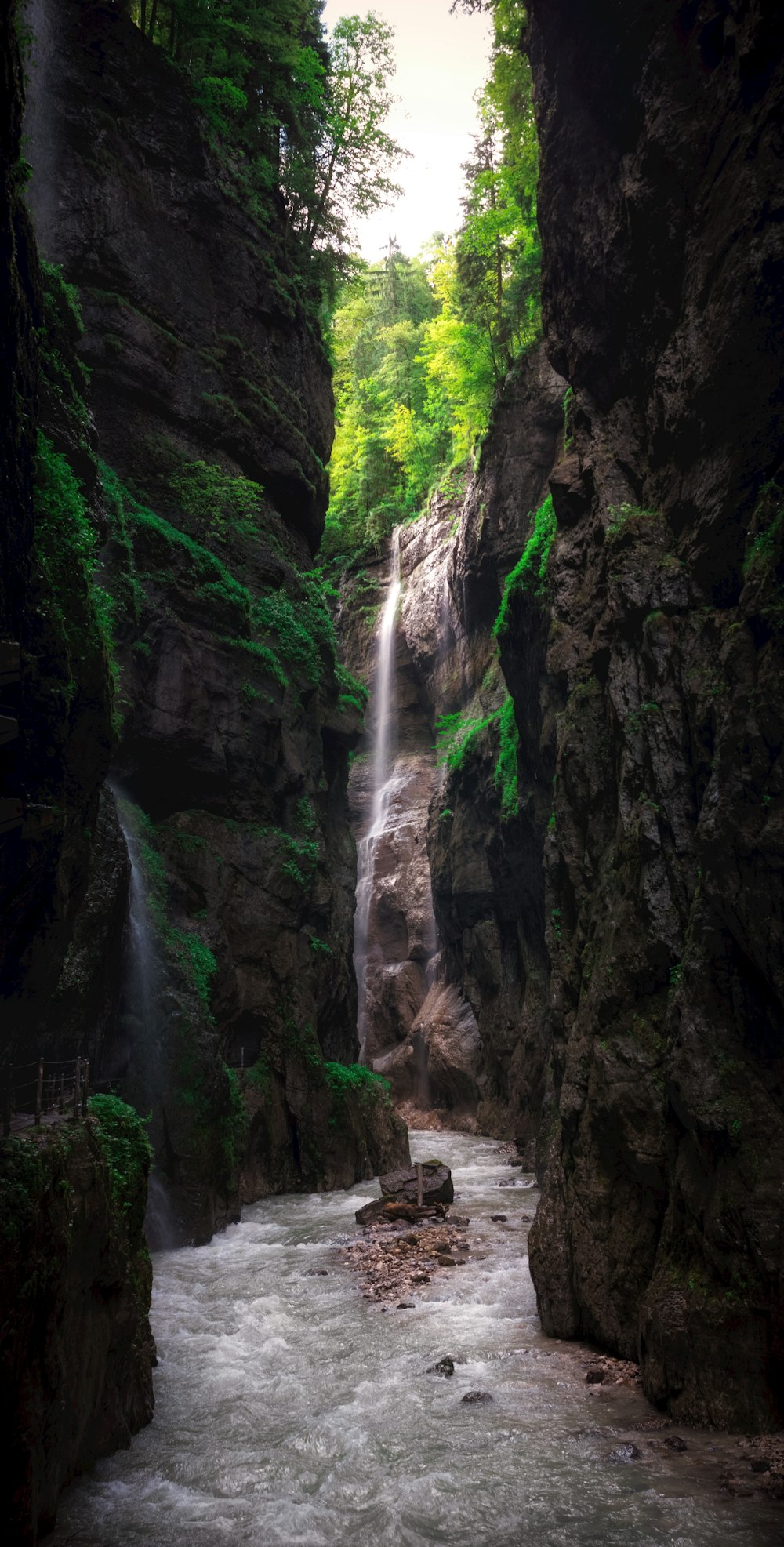 waterfalls in the middle of the forest