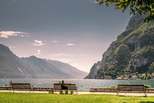 brown wooden bench on green grass field near body of water during daytime in Riva del Garda Italy