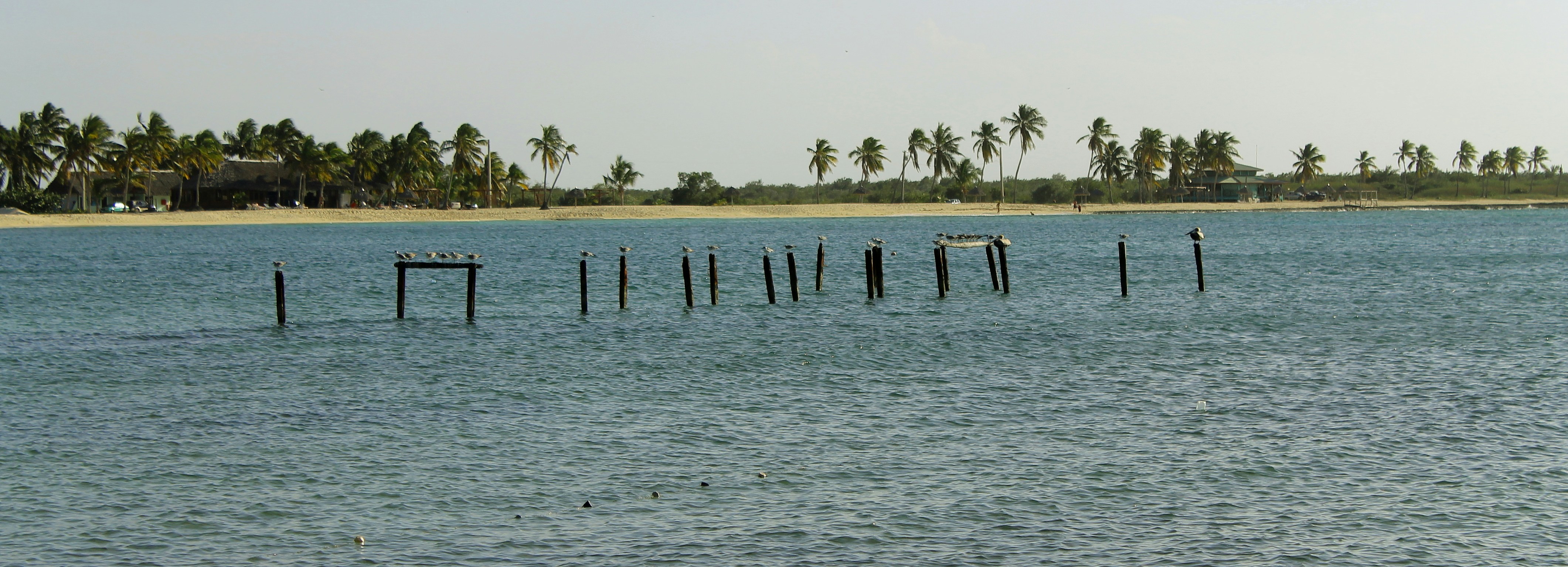 Free Unsplash photo from Pascal Chanel