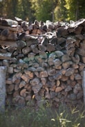 Large-scale wood drying kiln in operation surrounded by timber stacks