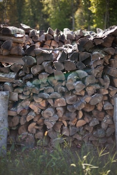 Stacks of wooden briquettes drying in sunlight outdoors.
