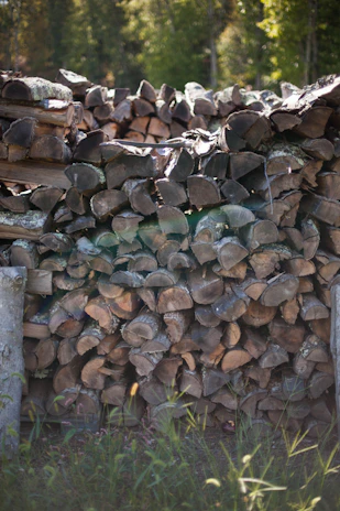 Stacks of reclaimed wood ready for processing in a sunlit workshop surrounded by green plants.
