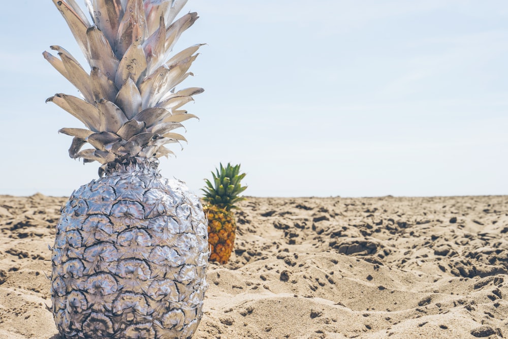closeup photo of pineapple on shore