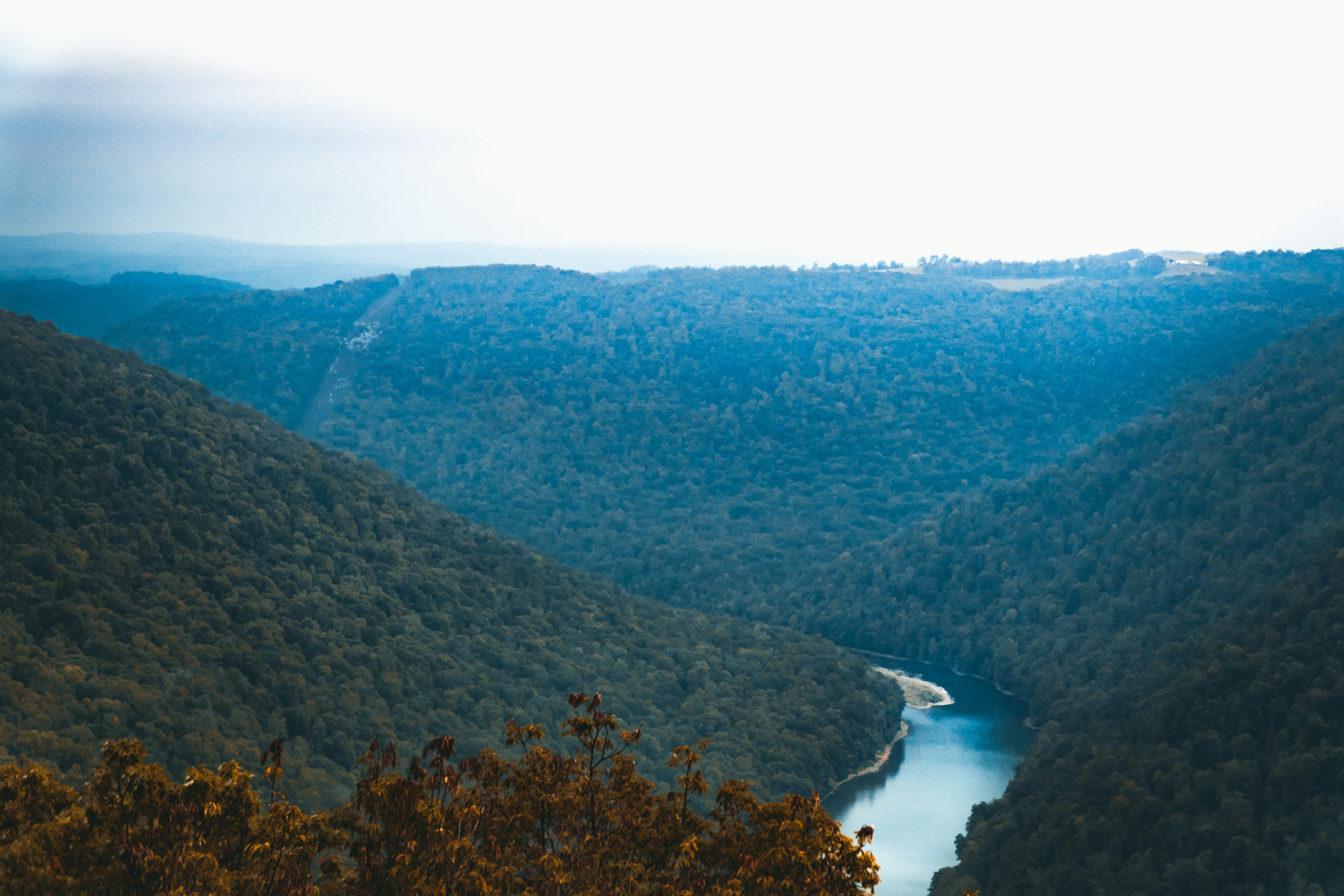 Free Unsplash photo from dan carlson