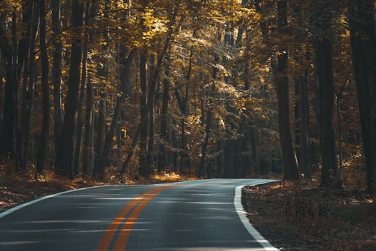 grey mountain pass road