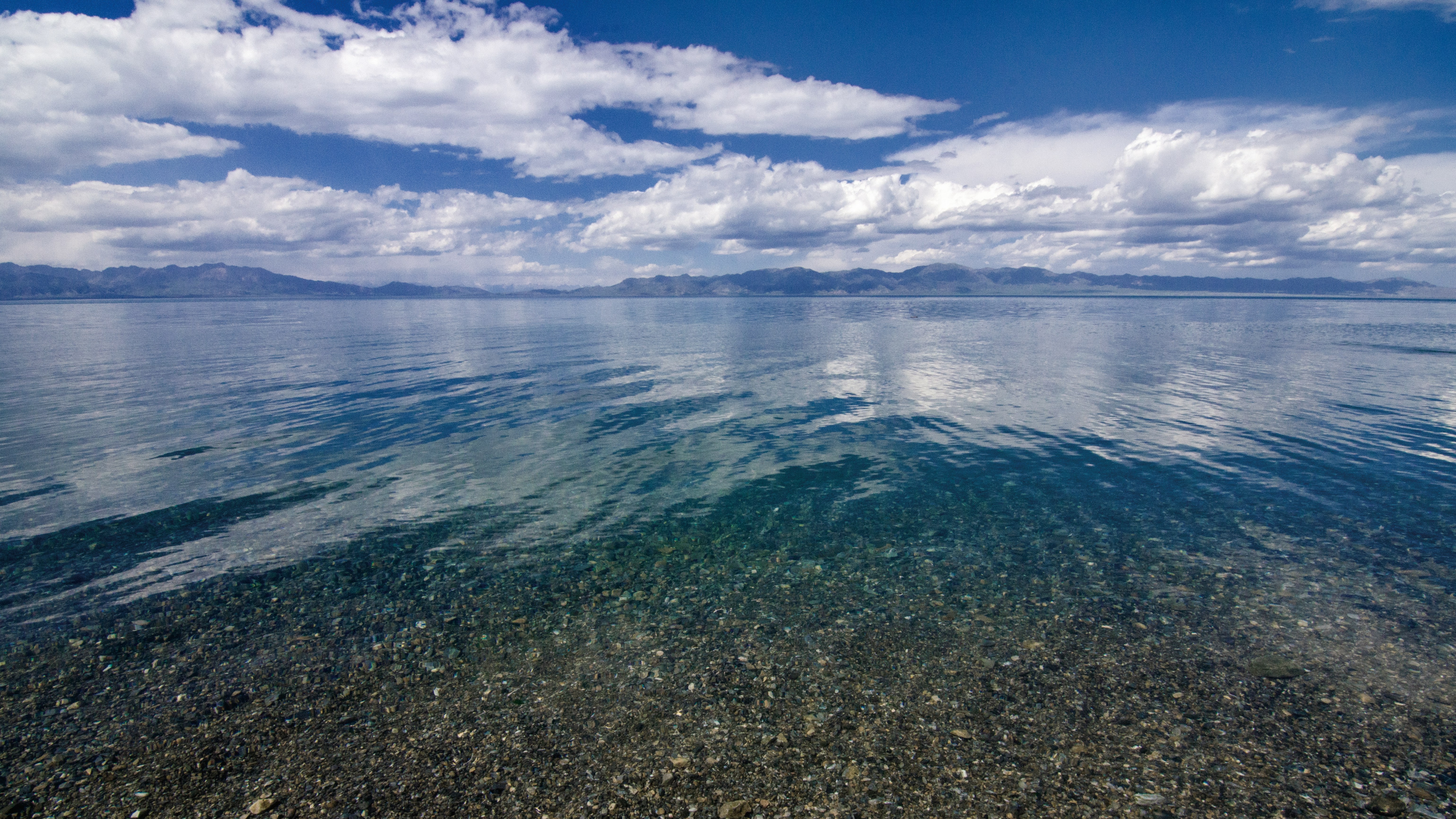 Free Unsplash photo from Francis Cheung