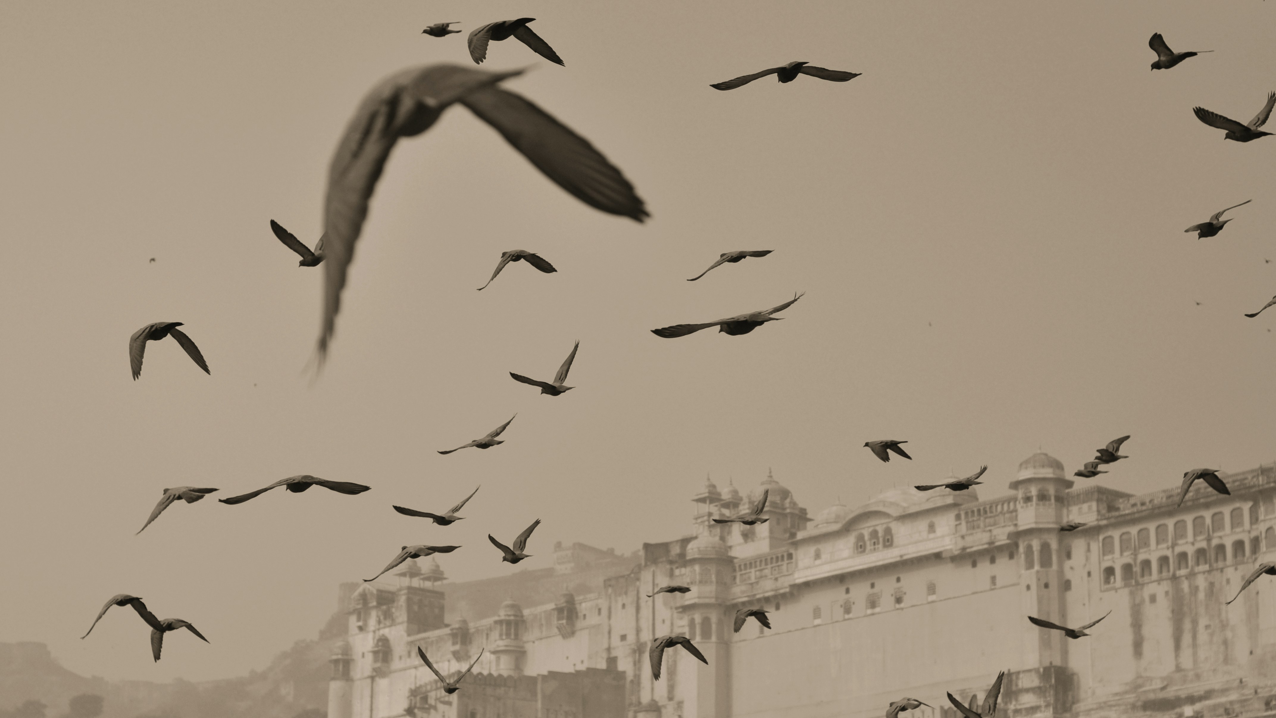 Free Unsplash photo from Francis Cheung