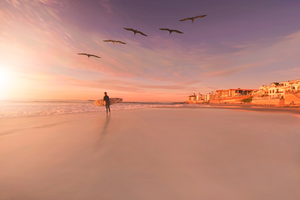 pessoa em pé na costa com pássaros voando no céu